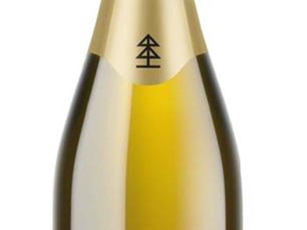 Cava brut - Pinot noir chardonnay